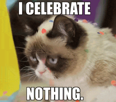 Dont be like this cat ...Its your birthday celebrate
