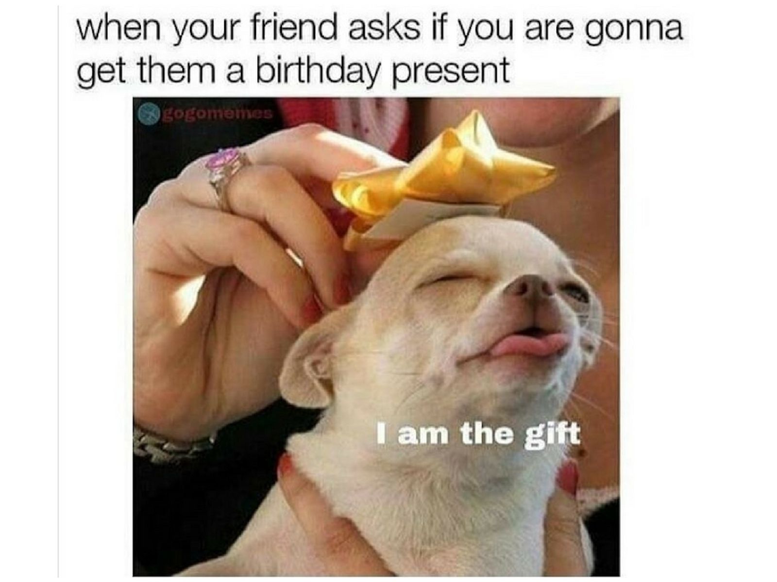 I'm your gift