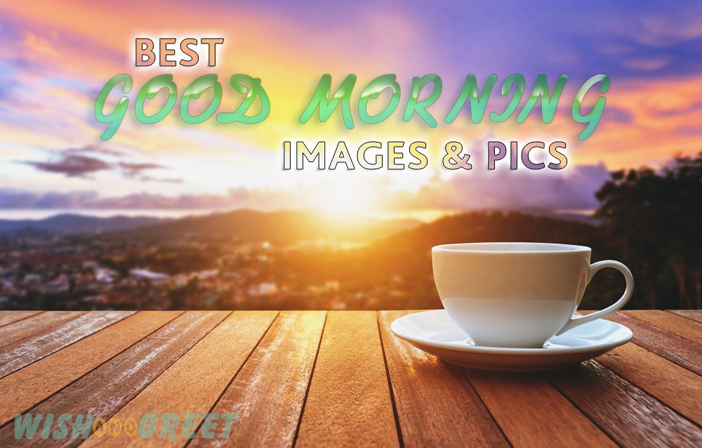 100+ Best Good Morning Images & Pics | WishandGreet