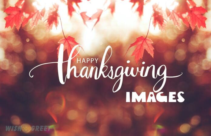 Happy Thanksgiving Images and Pictures