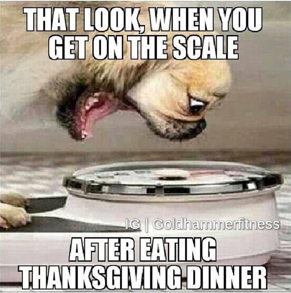 Thanksgiving Meme 17