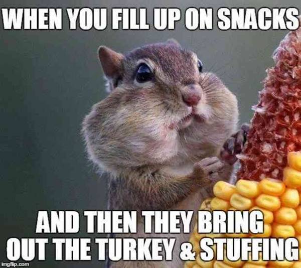 Thanksgiving Meme 5